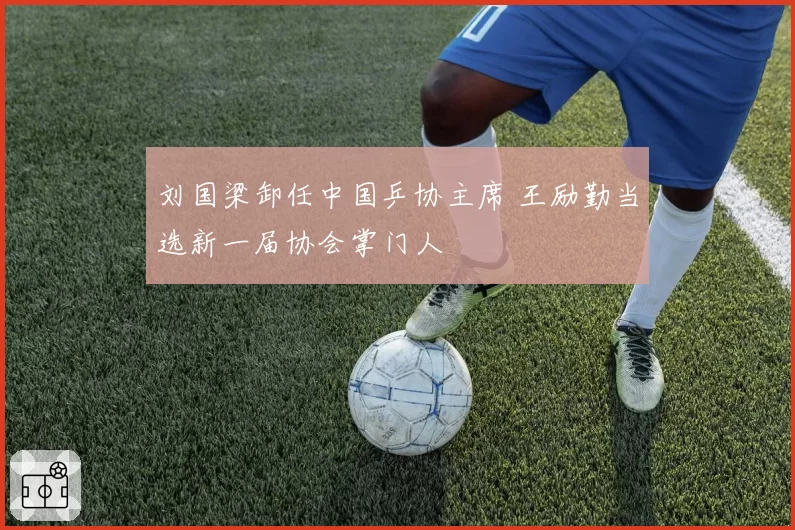 刘国梁卸任中国乒协主席 王励勤当选新一届协会掌门人
