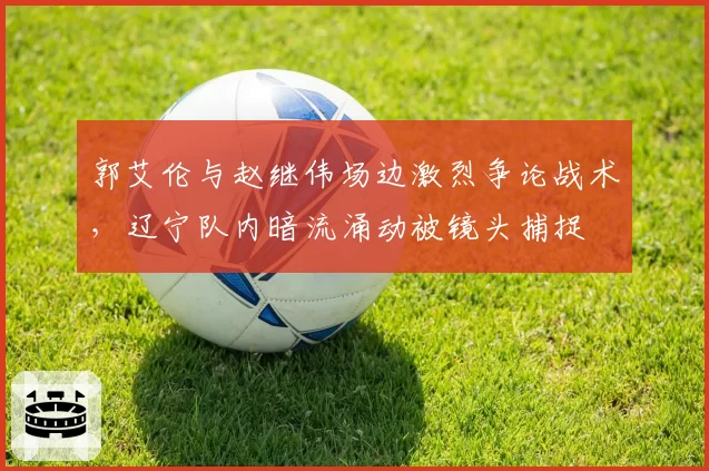 郭艾伦与赵继伟场边激烈争论战术,辽宁队内暗流涌动被镜头捕捉